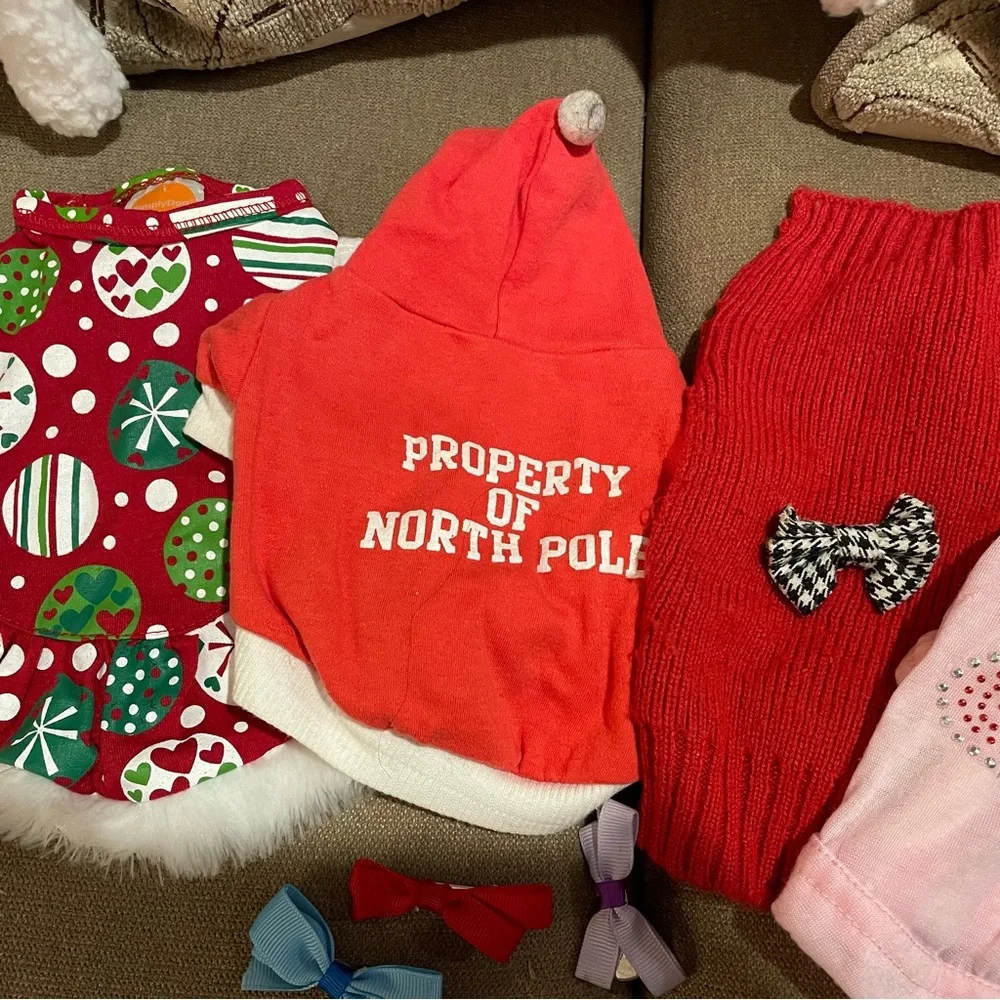 Bundle of small pet clothes